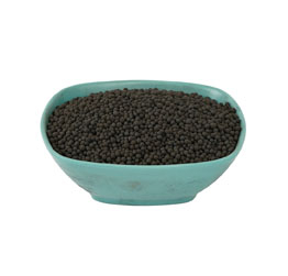 バッファローグラスに最適なフミン酸散布粒状肥料