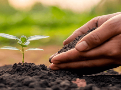 フミン酸の土壌改良効果 - 物理的効果