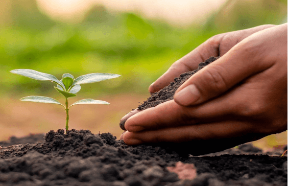 フミン酸の土壌改良効果 - 物理的効果.jpg