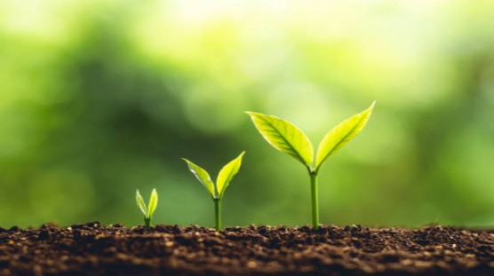 フミン酸の土壌改良効果 - 物理的効果.jpg