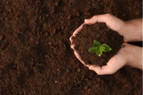 フミン酸の土壌改良効果 - 化学効果.jpg