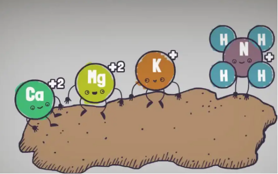 フミン酸の土壌改良効果 - 化学効果.jpg