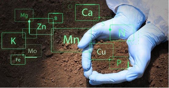 フミン酸の土壌改良効果 - 化学効果.jpg