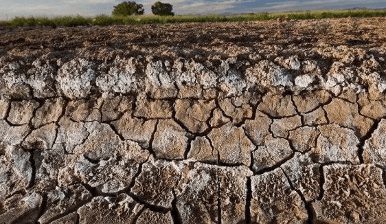 塩アルカリ土地.jpg 塩アルカリ土地.jpg