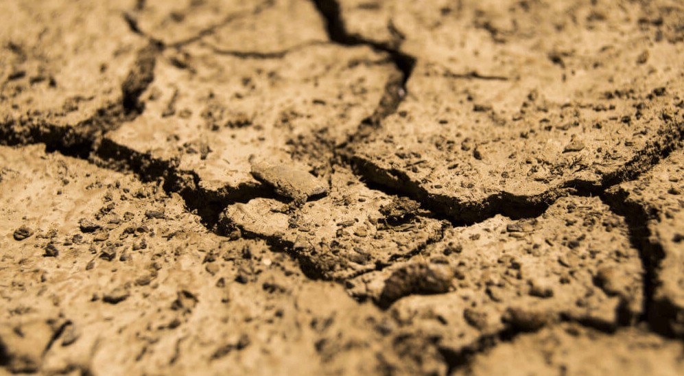 酸性化土壌.jpg 酸性化土壌.jpg