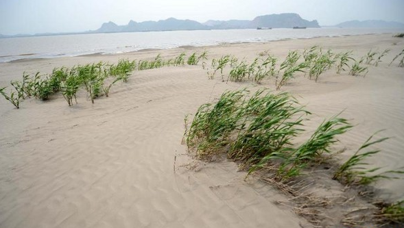 砂漠化した土壌.jpg 砂漠化した土壌.jpg