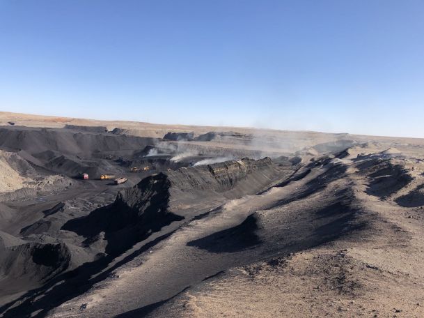 メーカー フミン酸ナトリウムフレーク在庫あり.jpg