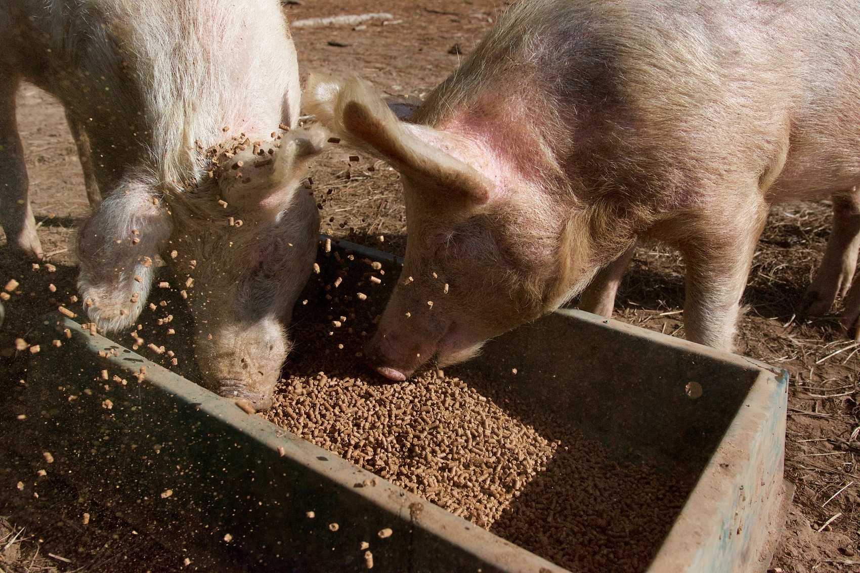 農業におけるフミートナトリウムの適用