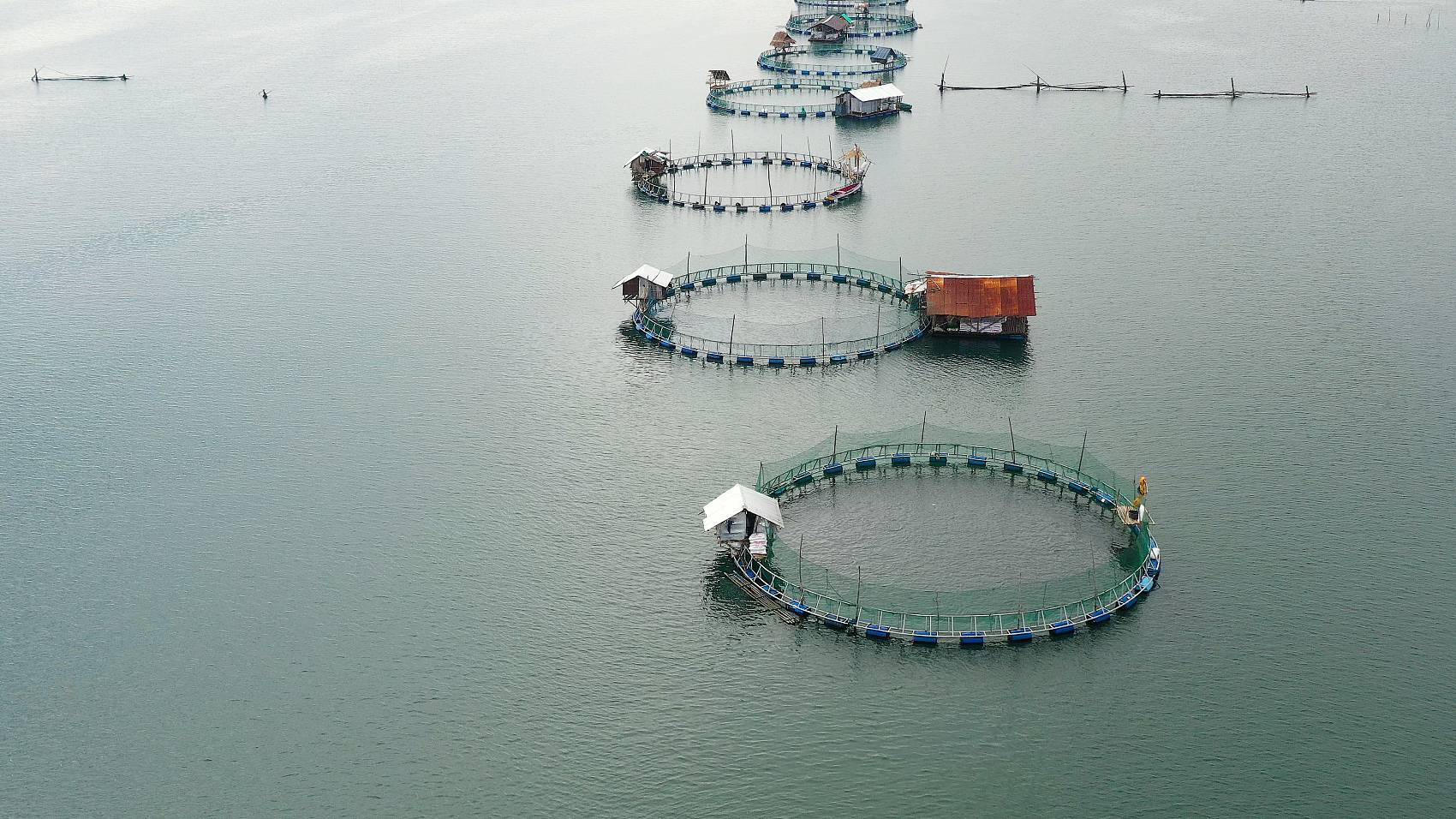 農業におけるフミートナトリウムの適用